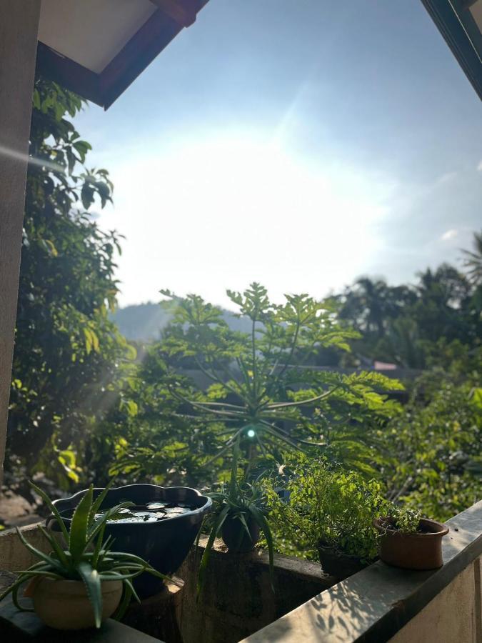 캔디 Rustic Mahaweli 아파트 외부 사진